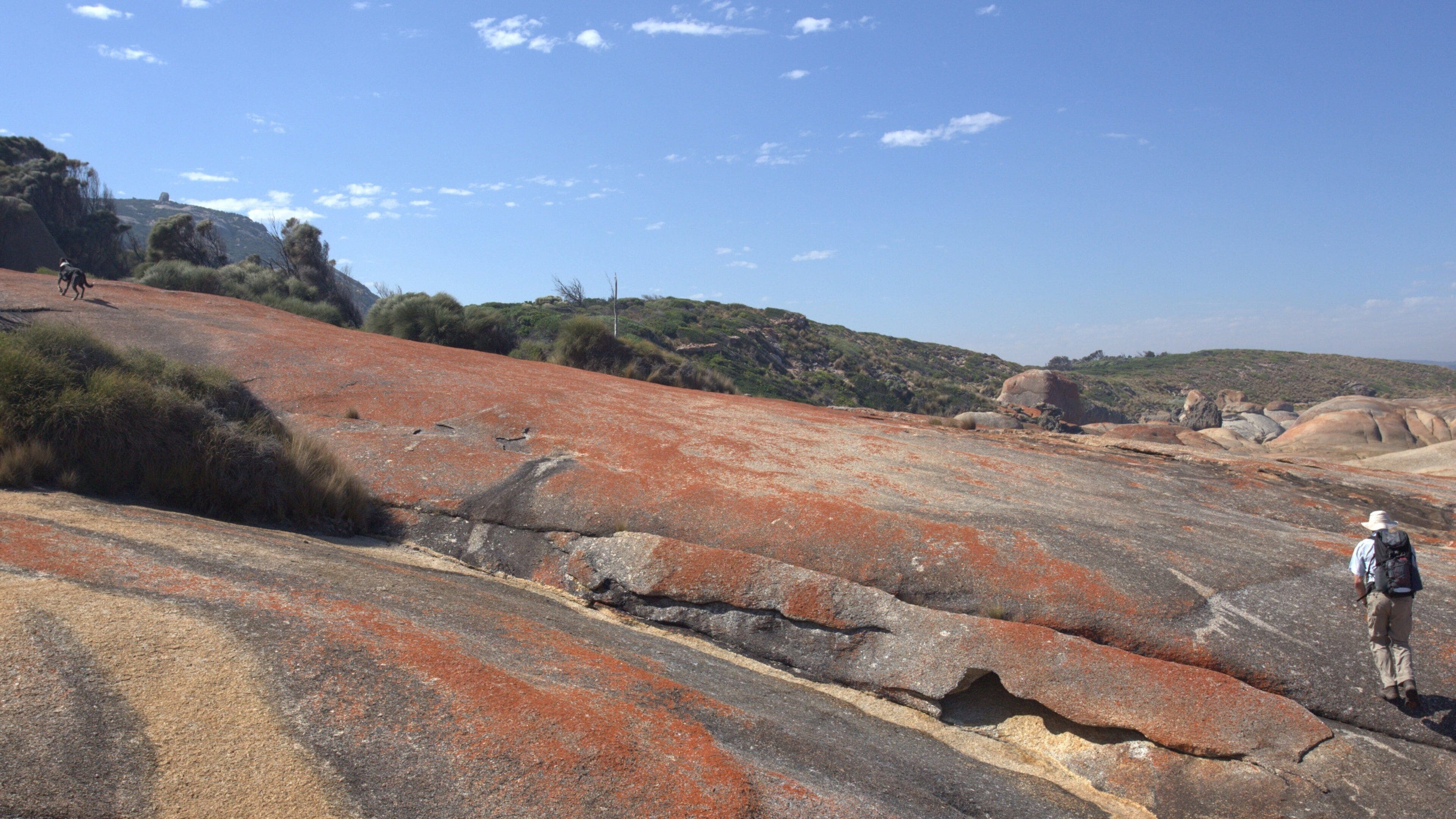 Flinders Island featuring climbing