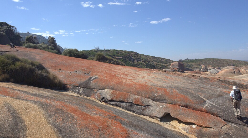 Flinders Island featuring climbing