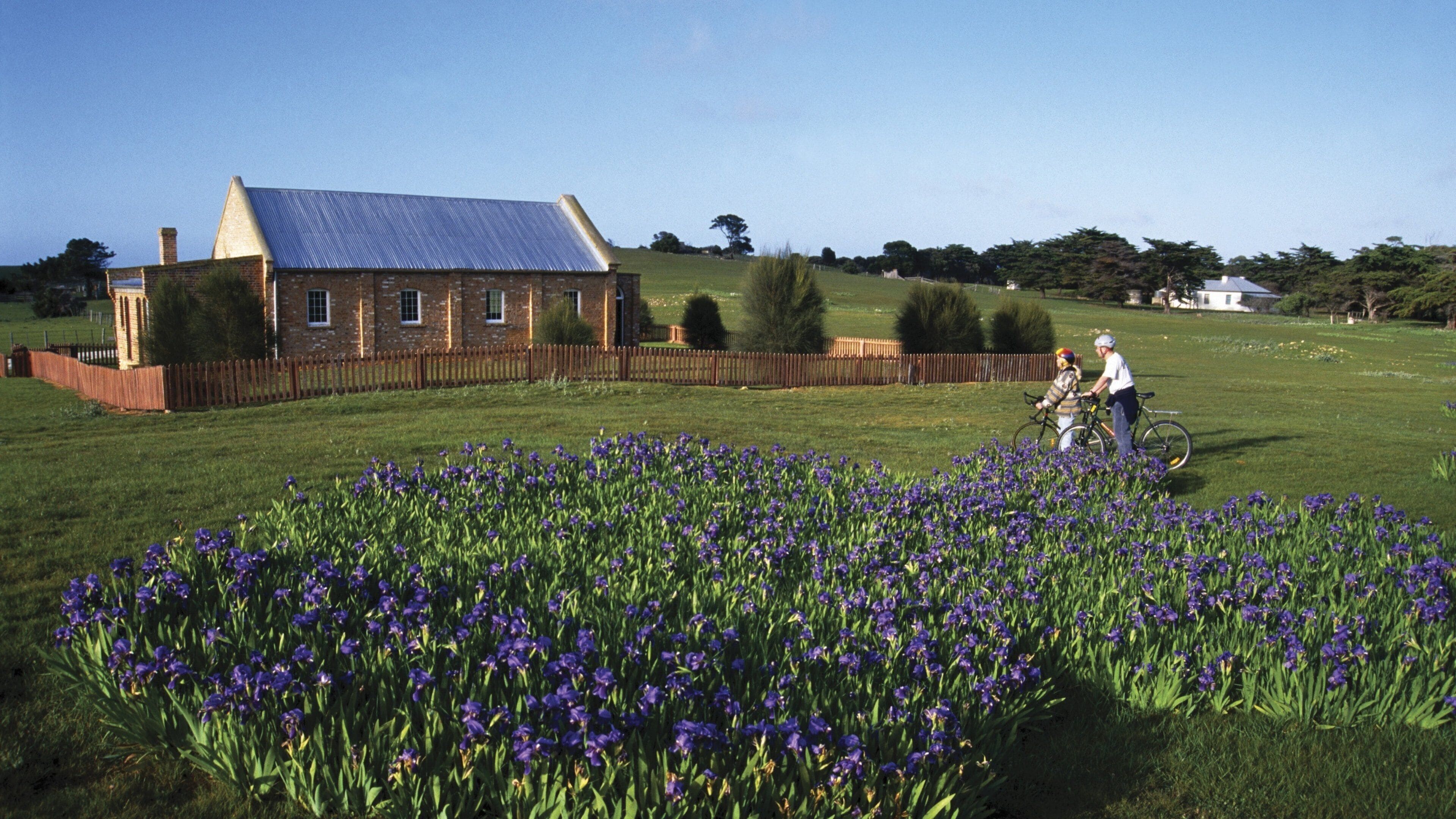 Flinders Island featuring cycling, a house and flowers