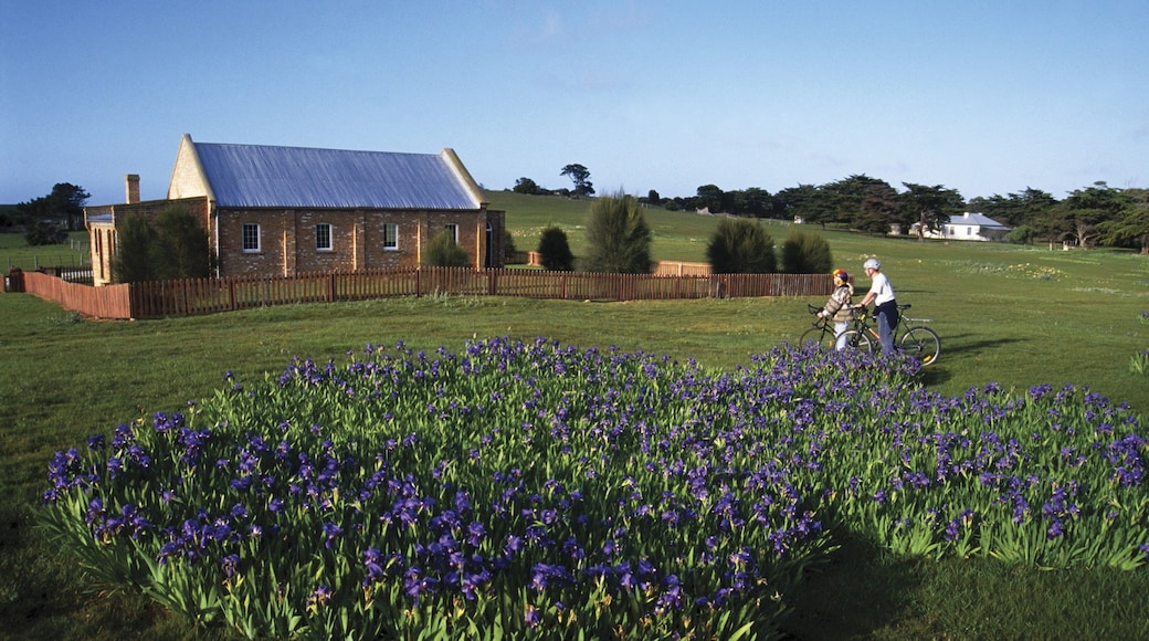 Flinders Island featuring cycling, a house and flowers