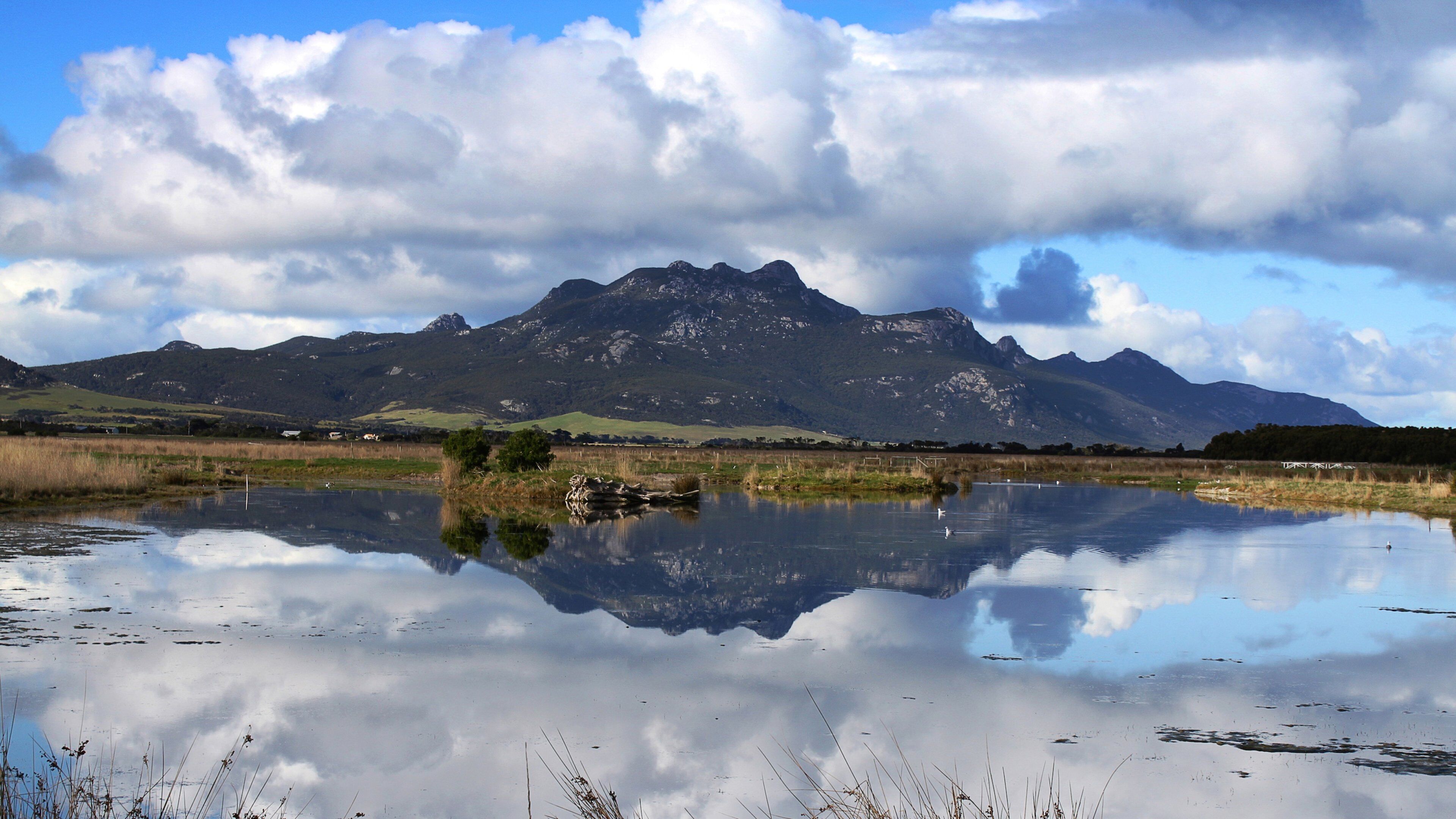 Flinders Island showing a lake or waterhole and mountains