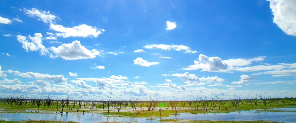 A landscape with a clear blue sky, scattered clouds, and a flooded field with leafless trees.