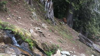 Warm, partially natural hot springs with amazing views. About a 10-15 minute hike in. Super easy! Worth the drive down a windy highway! This photo though is not the first hot spring you see. You have to climb down the mountain further and hike longer to get to this one! 110% worth it.