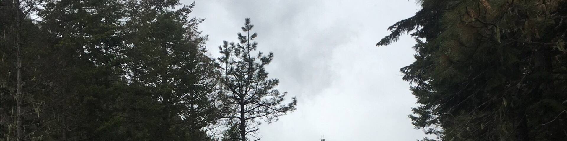 Beautiful drive up old highway 12
I have had a few travelers ask me at work if this drive is worth it!
It’s very very beautiful, but extremely windy, dangerous, and full of wildlife. Including deer that jump right in front of your car!
Amazing views... dangerous drive!