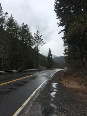 Beautiful drive up old highway 12
I have had a few travelers ask me at work if this drive is worth it!
It’s very very beautiful, but extremely windy, dangerous, and full of wildlife. Including deer that jump right in front of your car!
Amazing views... dangerous drive!