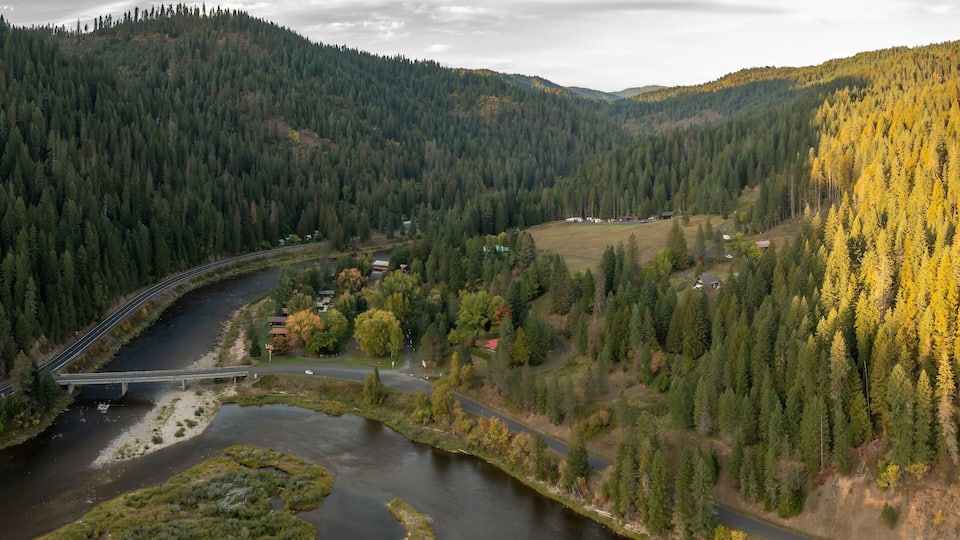 A river winding through a forested valley with a bridge and houses.