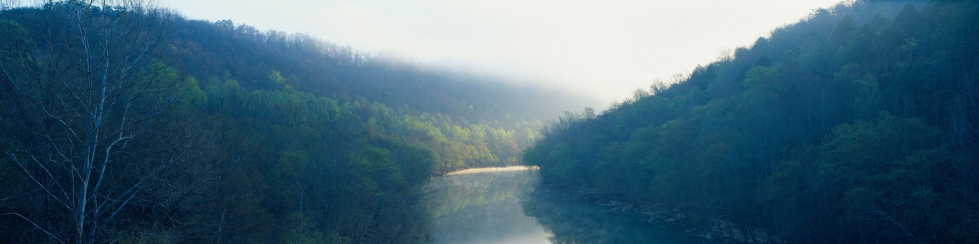 Morning fog on Cumberland River, Kentucky