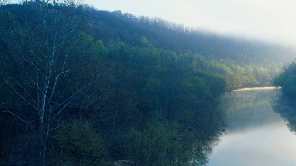 A river surrounded by dense forest with mist in the air.