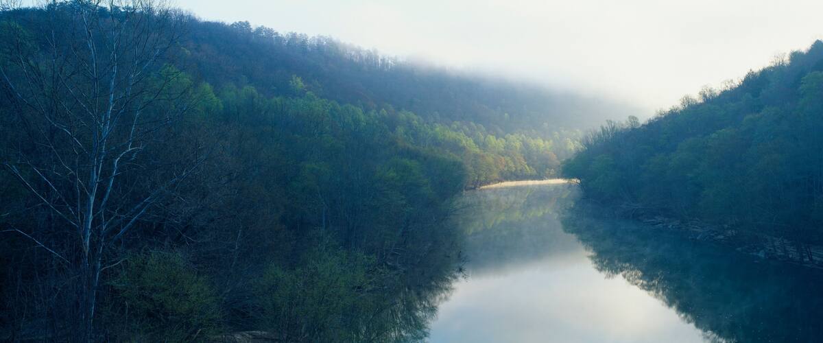 A river surrounded by dense forest with mist in the air.