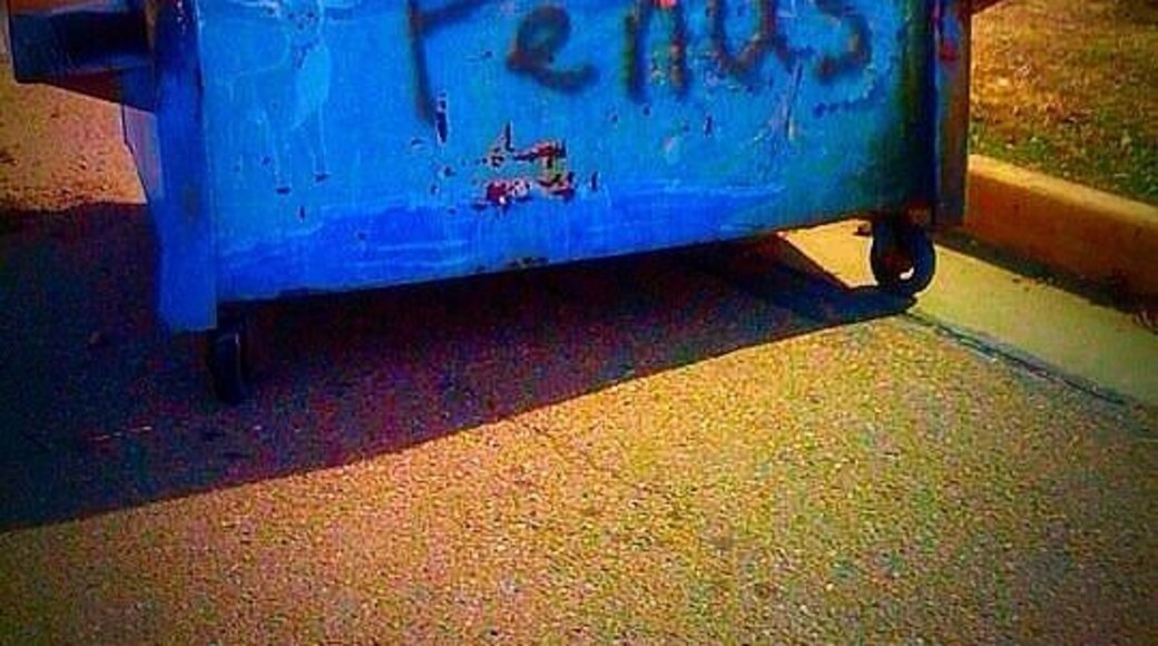 I appreciate the urban arts and all, but if you can't spell it, don't write it!