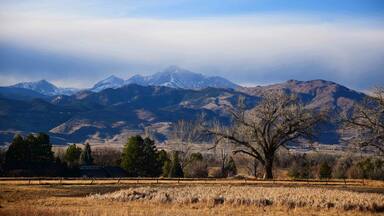Panoramic view of long's peak and cottonwood trees on a winter afternoon from the teller farms trail, in eastern boulder county, colorado