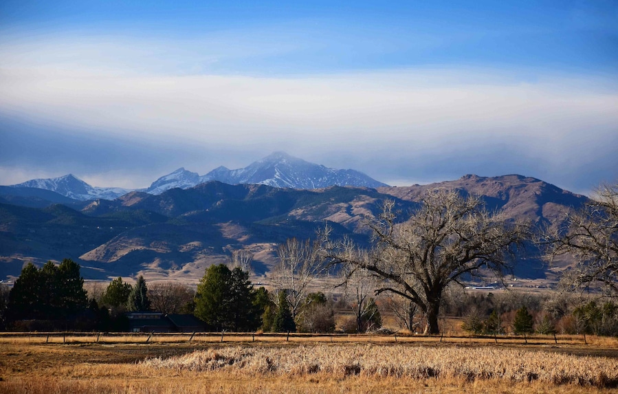 Panoramic view of long's peak and cottonwood trees on a winter afternoon from the teller farms trail, in eastern boulder county, colorado