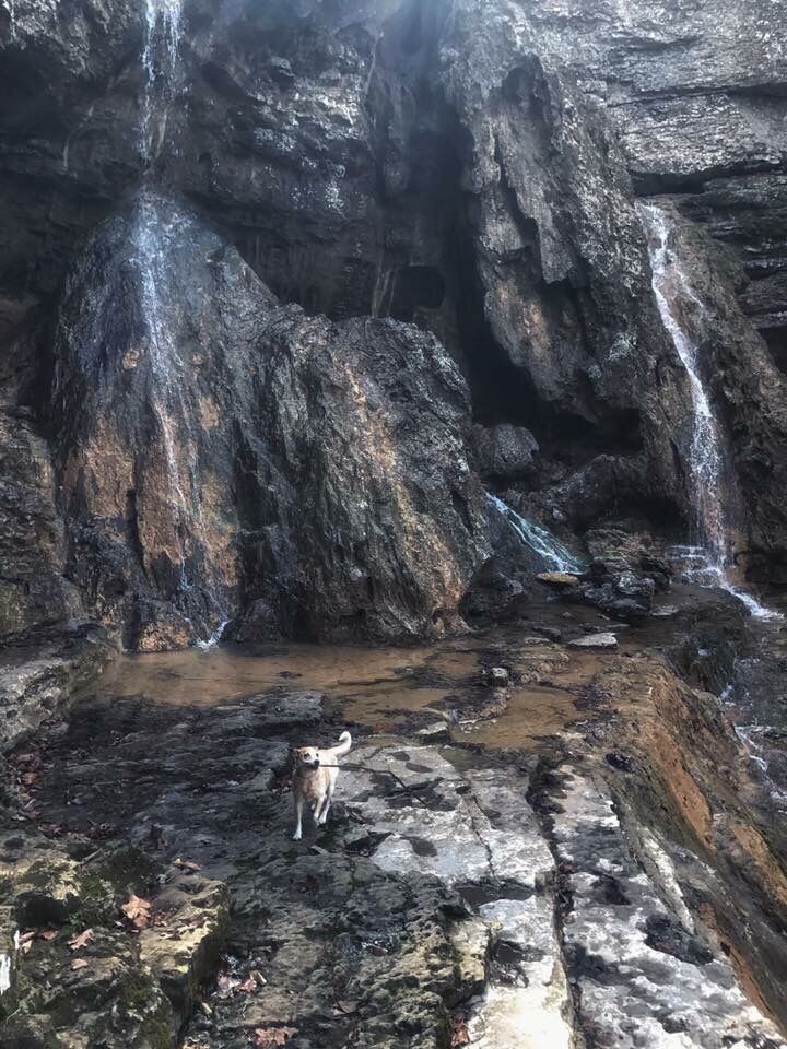 Definitely worth going to the Pocket loop falls after a big rainfall.. bring your hammocks! 