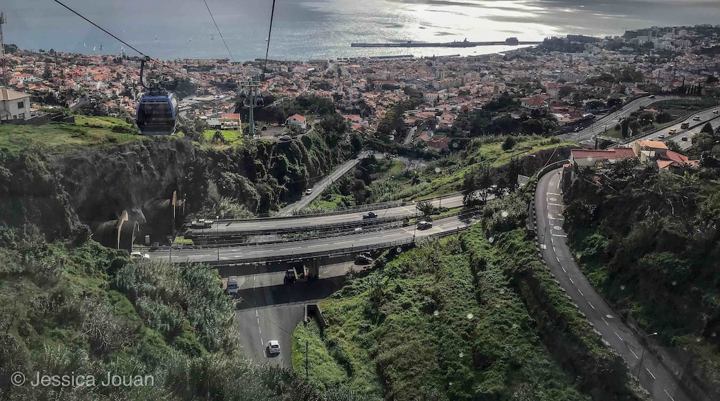 Fun way transport ... cable car on the way up, toboggan in the way down ! Please google Funchal toboggan and you ll see what I mean 🙊🙊#LifeAtExpedia #BigCity