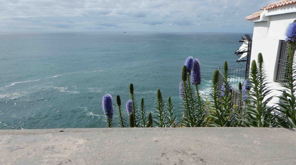 A view across the North Atlantic Ocean from Funchal, Madeira