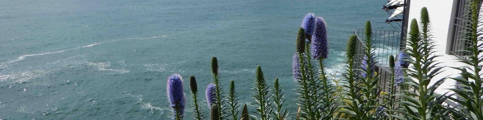 A view across the North Atlantic Ocean from Funchal, Madeira