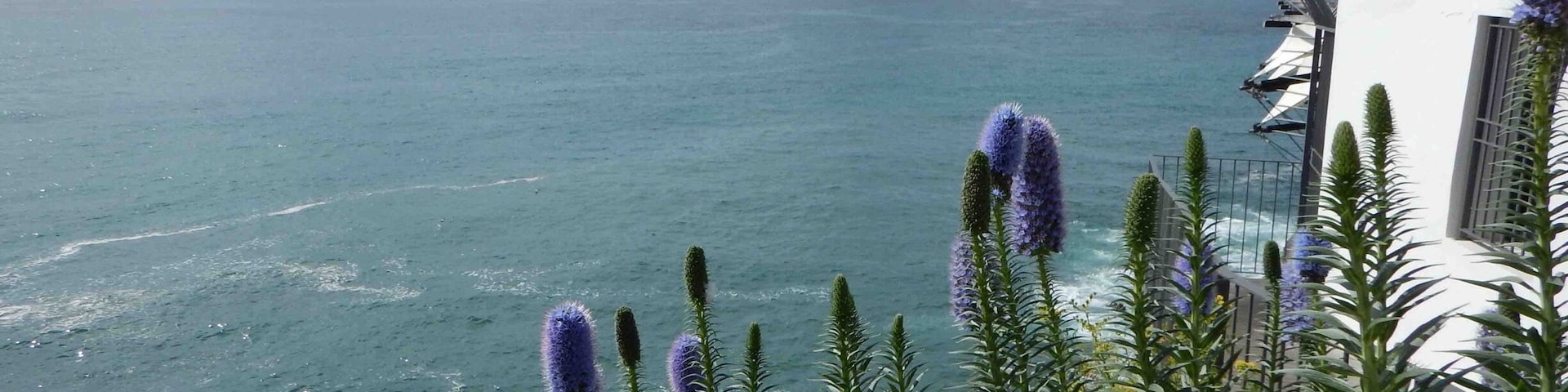 A view across the North Atlantic Ocean from Funchal, Madeira