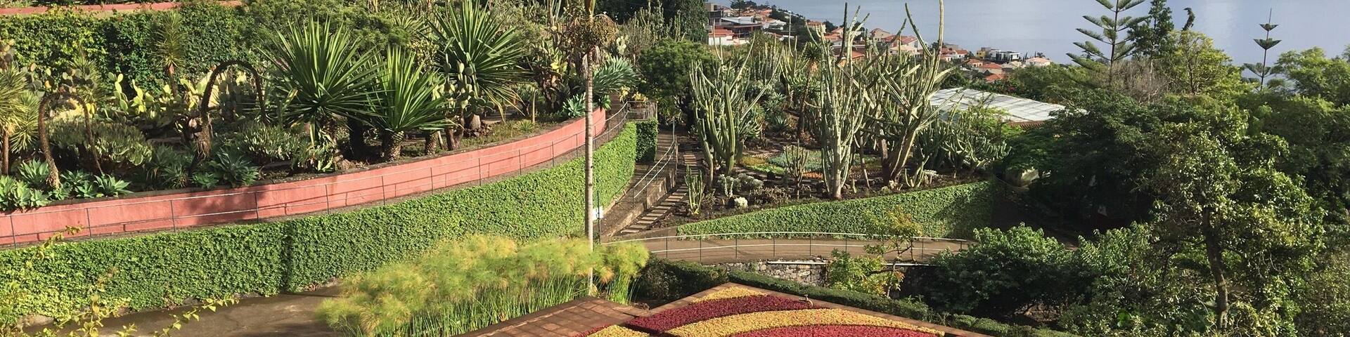 Fantastic garden for nature lovers