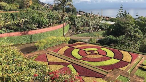 Fantastic garden for nature lovers