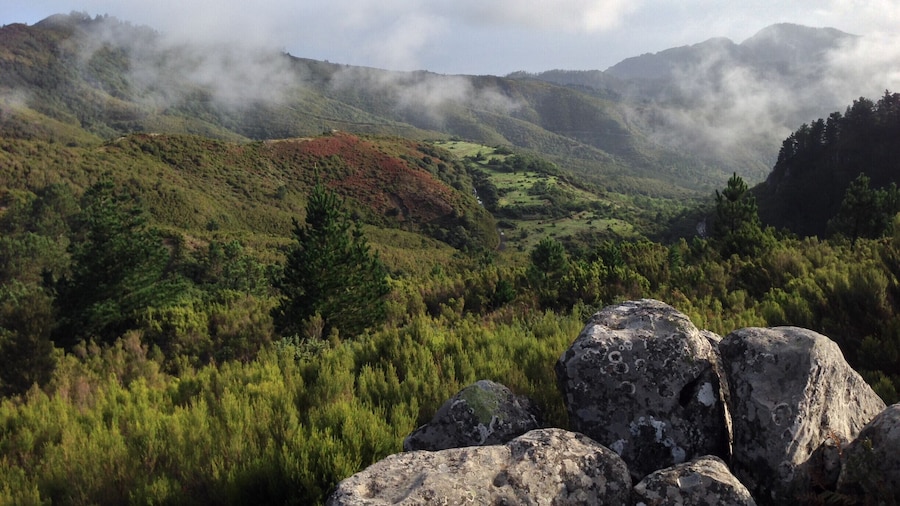 Head to the hills in Madeira and experience breathtaking scenery and incredible fauna and flora.
It is a beautiful place for long walks including some Levada