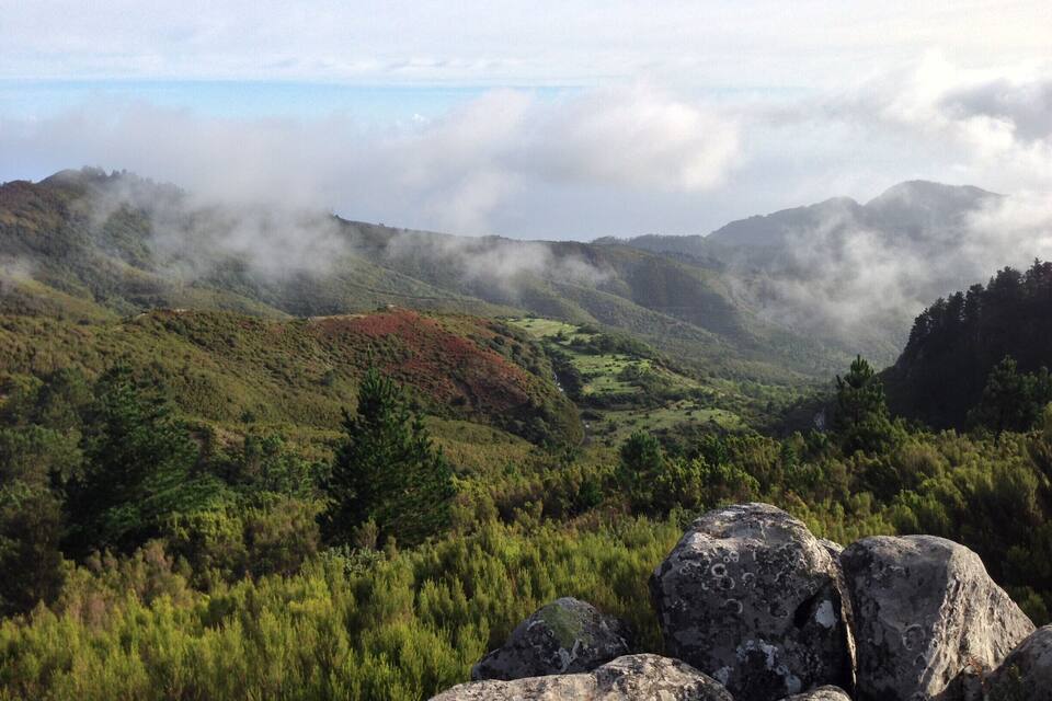 Paisatge de muntanya amb boscos densos, roques i una vall coberta de boira.