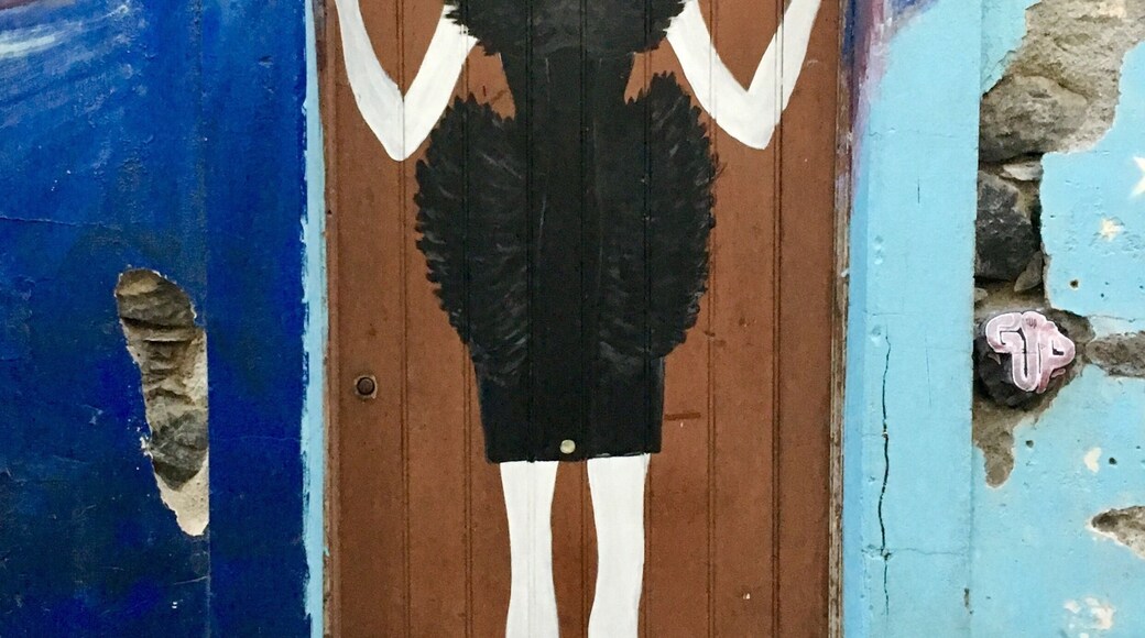 ... Madeira continues