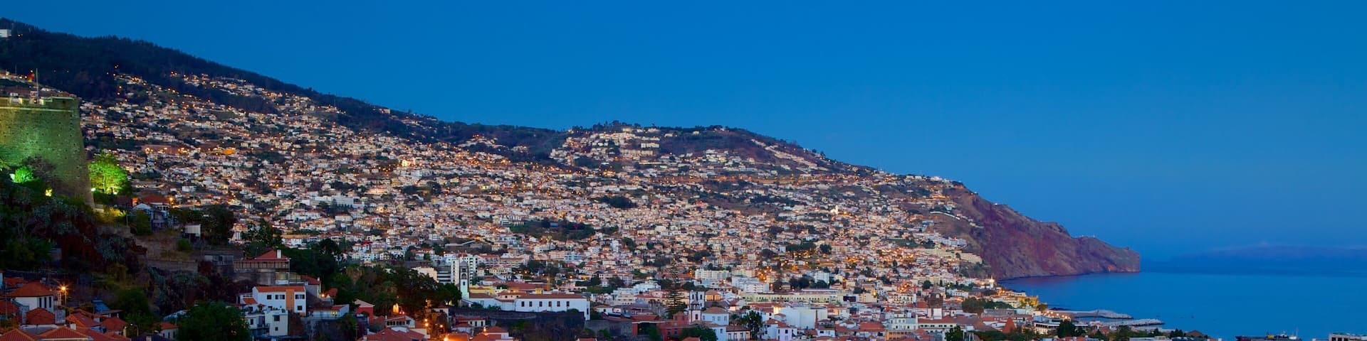 Funchal which includes night scenes and a coastal town