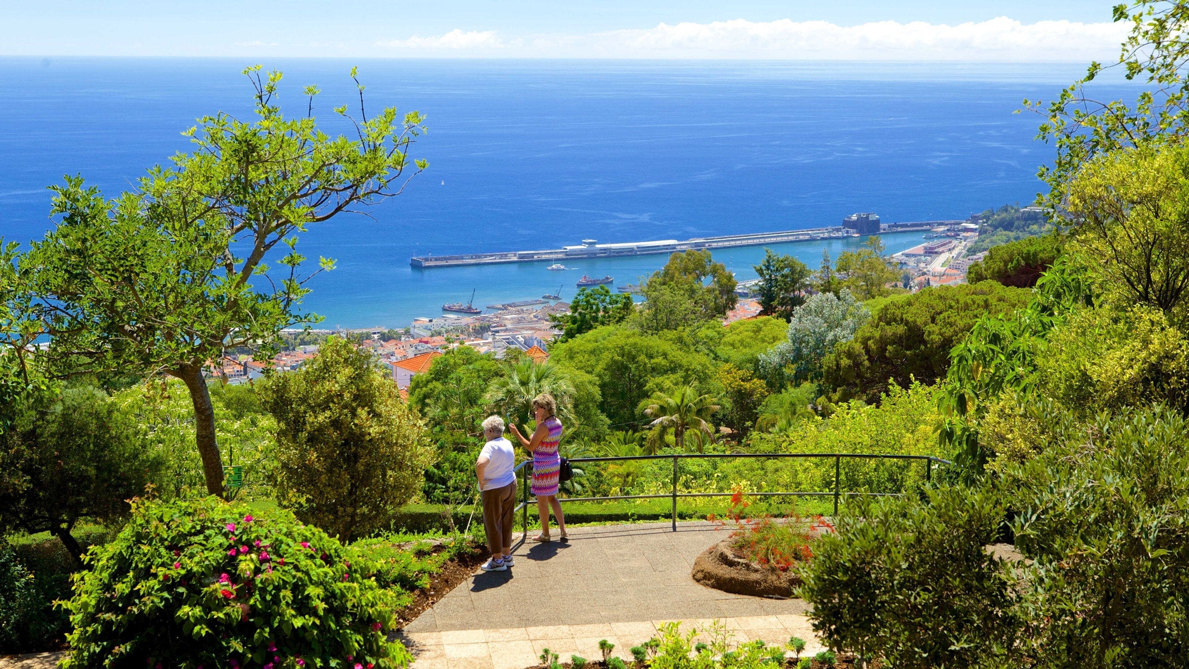 Una ciudad costera con vistas al mar, un puente y abundante vegetación.