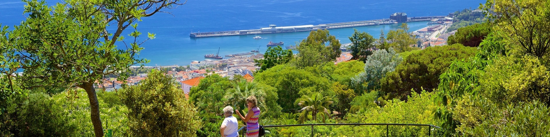 Una ciudad costera con vistas al mar, un puente y abundante vegetación.