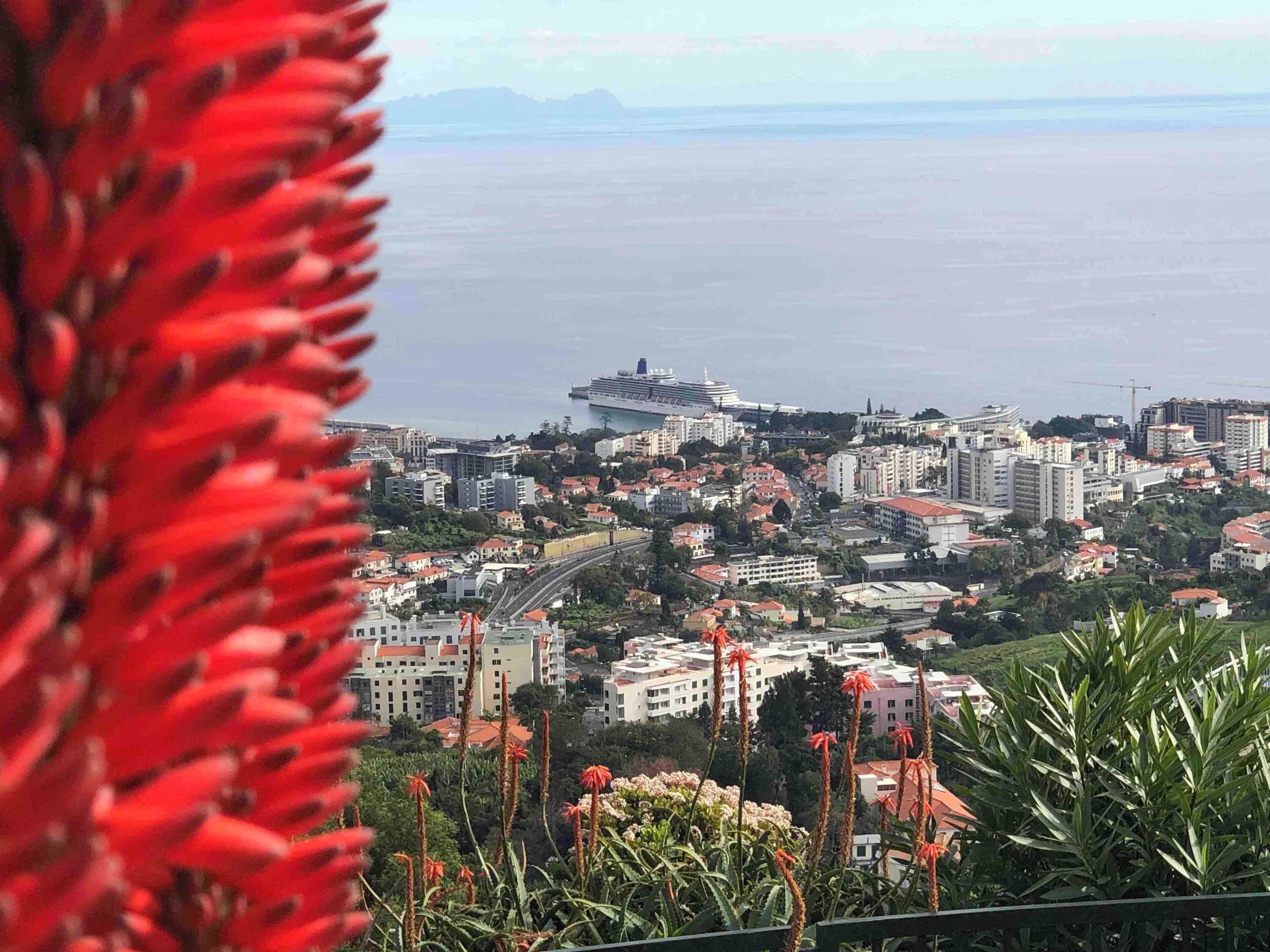 Arcadia from Madeira viewpoint.