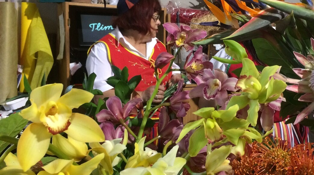 Traditional Maderia clothing :)