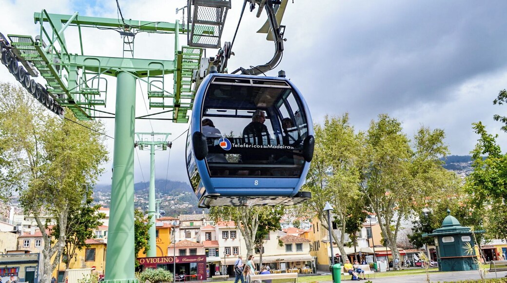 Take this great value cable car for a 15 minute long journey up to the subtropical gardens or connect to another cable car onwards to the botanical gardens.