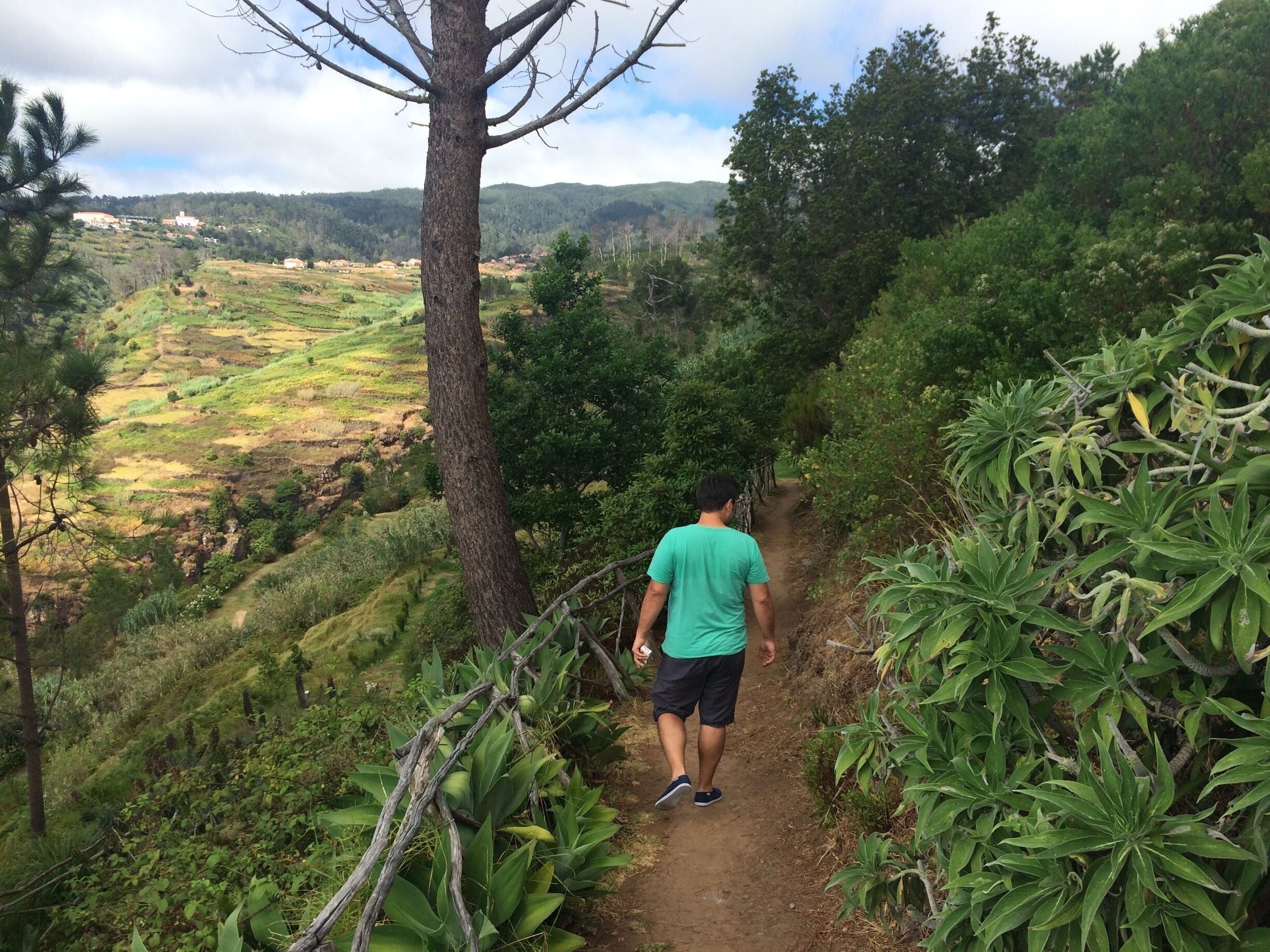 Um caminhante em uma trilha de terra, cercado por vegetação exuberante e campos em terraços.