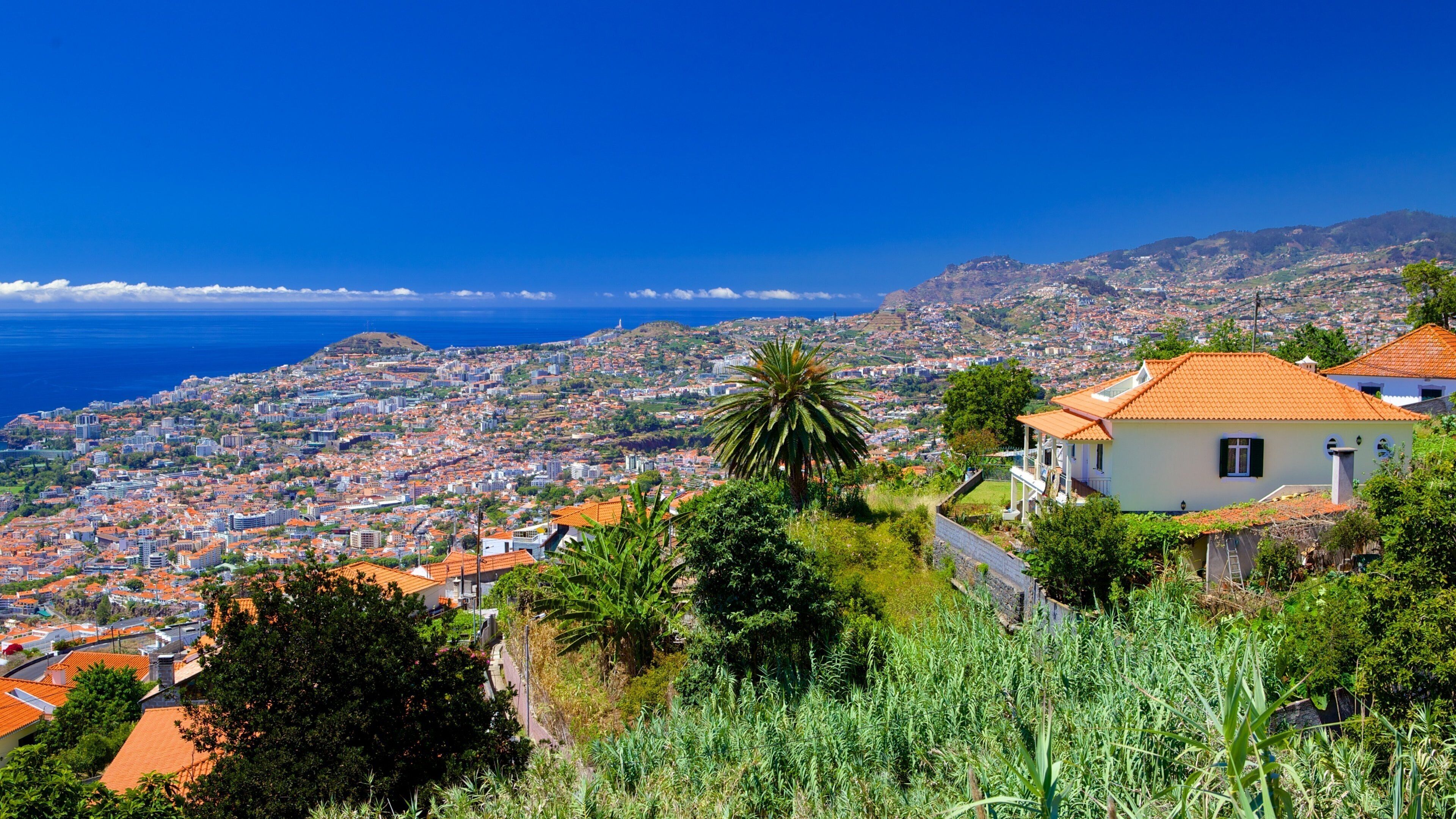 Funchal featuring a house and a coastal town