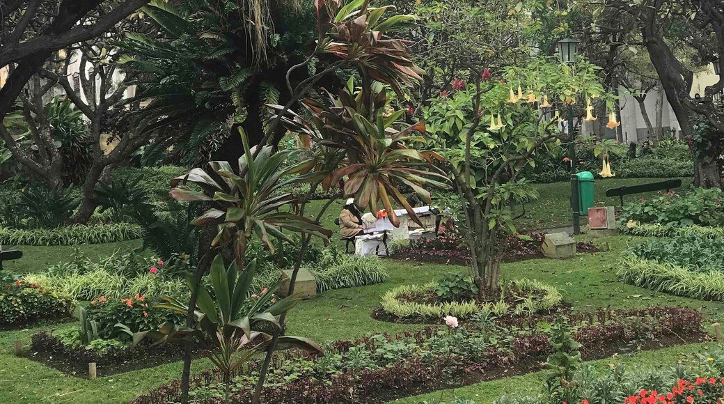 Public garden on the island of flowers
#lifeatexpedia