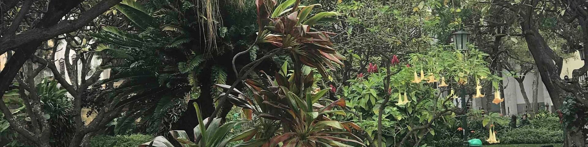 Public garden on the island of flowers
#lifeatexpedia