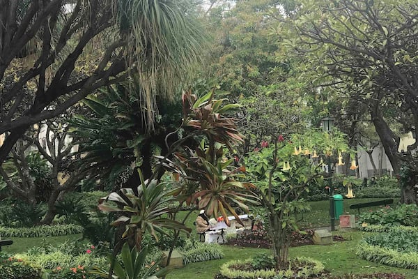 Public garden on the island of flowers
#lifeatexpedia