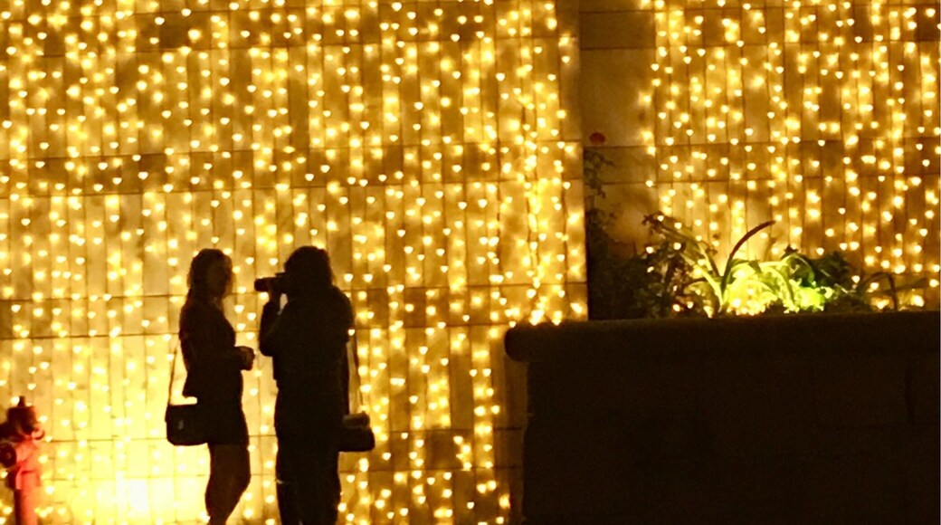 Christmas Lights in Funchal, Madeira.