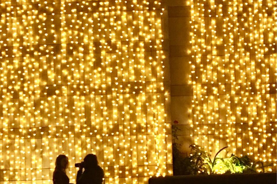 Un mur illuminé, une borne d’incendie et un bac à fleurs avec des plantes.