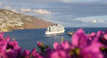 Beautiful view over the bay watching the cruse ships leave on there trip across the ocean