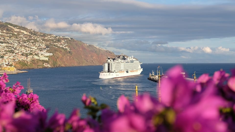 Beautiful view over the bay watching the cruse ships leave on there trip across the ocean