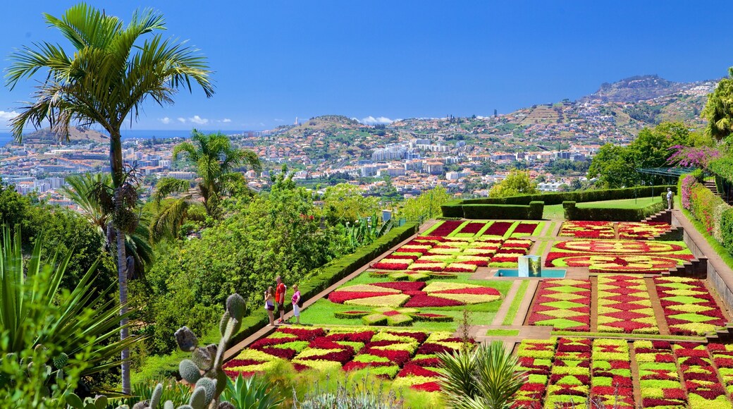 Funchal bevat een park