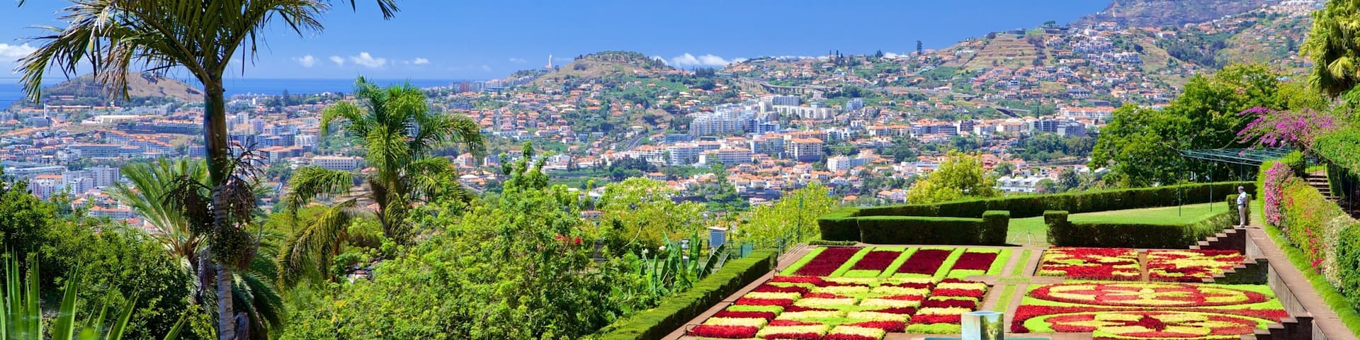 A garden with geometric flower beds and palm trees.