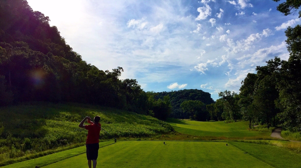 Nestled amongst the grand bluffs of the Mississippi River in Lake City, The Jewel Golf Club offers an unsurpassed golf experience. The course winds throughout 800 acres of the river valley routed through a variety of terrain. It was also designed with five sets of tee boxes in order to accommodate golfers of any ability level. Bring a friend!
#LakeCity
#Minnesota
#lifeatexpedia
#golf
#golfcourse