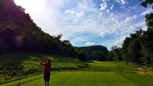 Nestled amongst the grand bluffs of the Mississippi River in Lake City, The Jewel Golf Club offers an unsurpassed golf experience. The course winds throughout 800 acres of the river valley routed through a variety of terrain. It was also designed with five sets of tee boxes in order to accommodate golfers of any ability level. Bring a friend!
#LakeCity
#Minnesota
#lifeatexpedia
#golf
#golfcourse