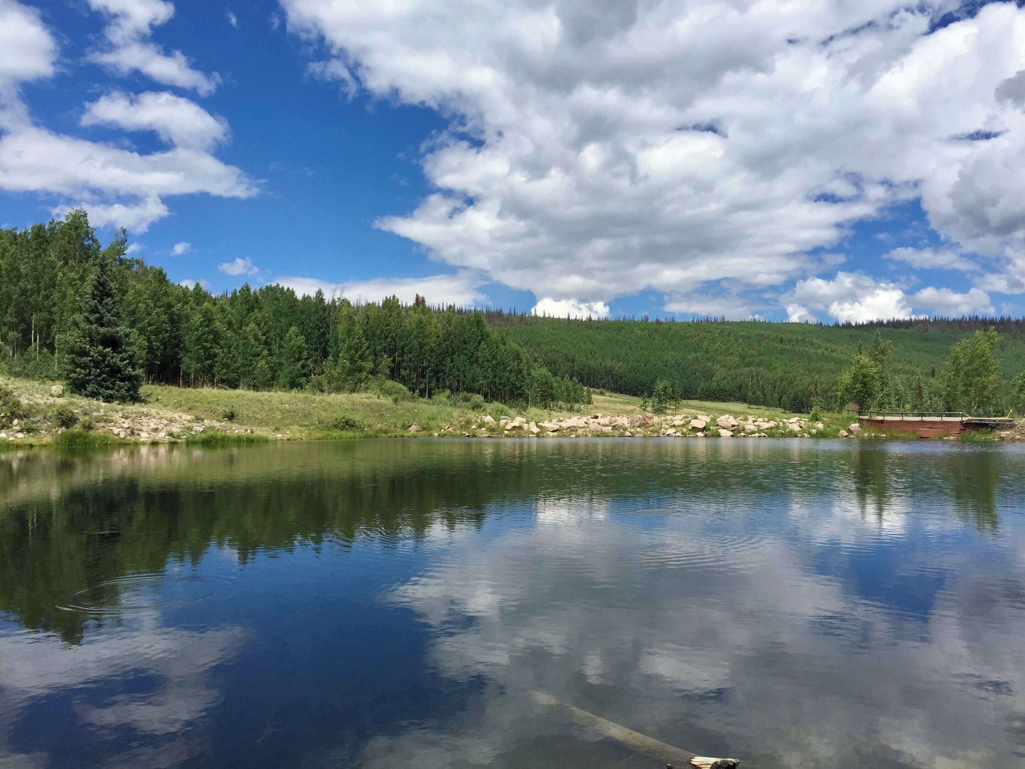 Fishing at Deer Lakes and saw some of the local moose this day too!