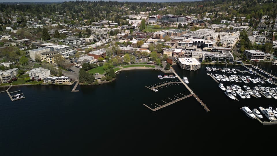 An aerial view of a marina surrounded by residential buildings and a forested area.