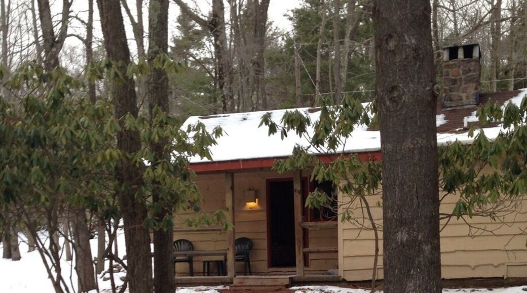 Beautiful little cabin in the woods
#northernPOCONOS
#splitrock