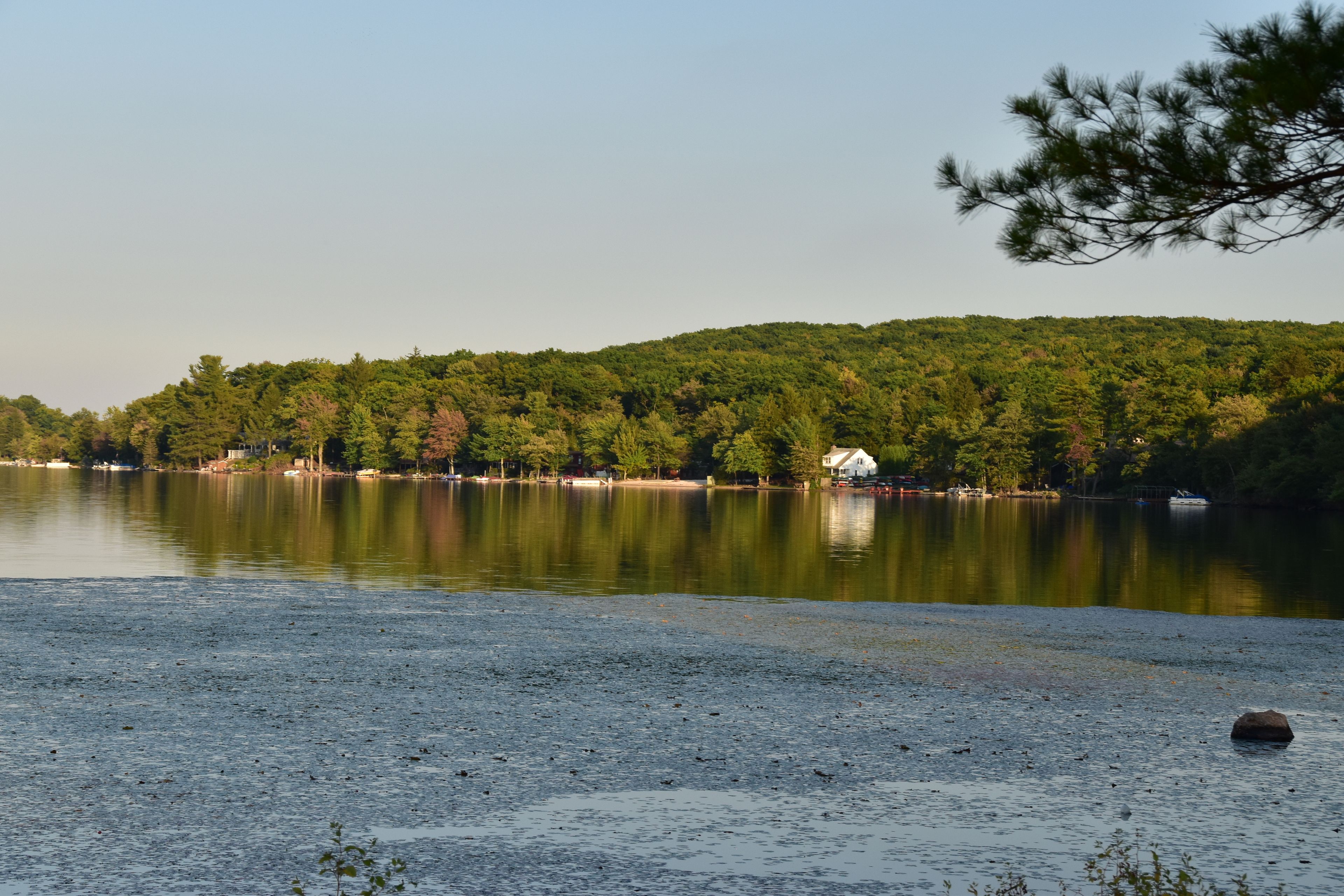 A calm lake with a forested hill in the background and a small house near the water's edge.
