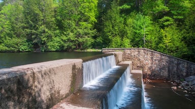 hickory run lake waterfall in lake harmony pennsylvania in springtime